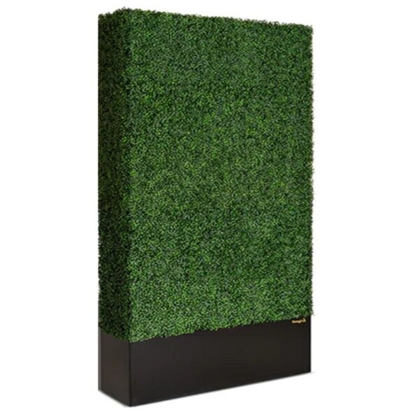 Box Hedge Wall